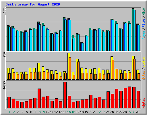 Daily usage for August 2020