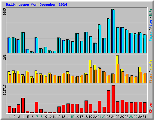Daily usage for December 2024