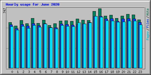 Hourly usage for June 2020