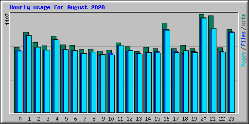 Hourly usage for August 2020