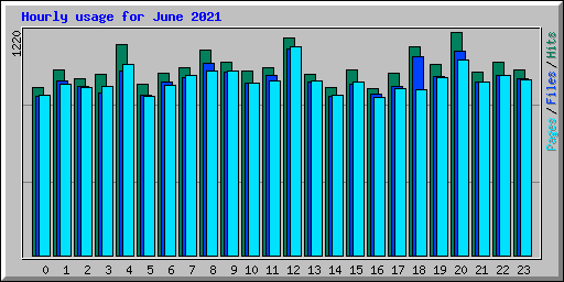 Hourly usage for June 2021