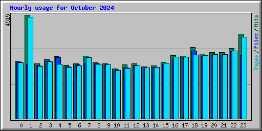 Hourly usage for October 2024
