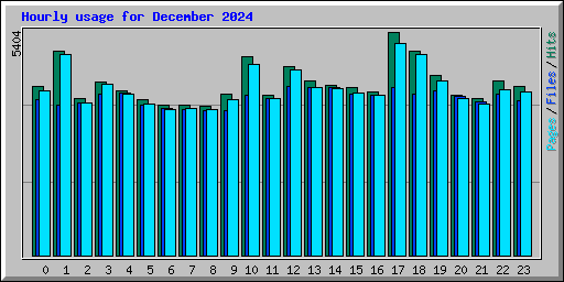 Hourly usage for December 2024