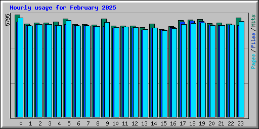 Hourly usage for February 2025