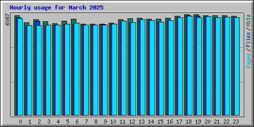 Hourly usage for March 2025