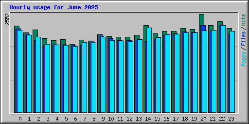 Hourly usage for June 2025