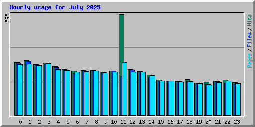 Hourly usage for July 2025