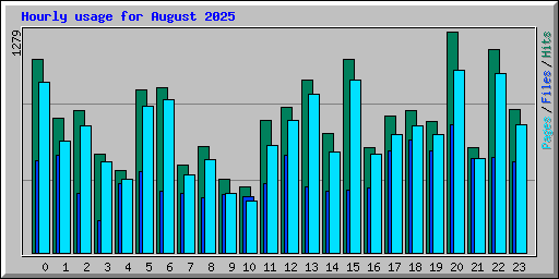 Hourly usage for August 2025