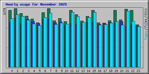 Hourly usage for November 2025