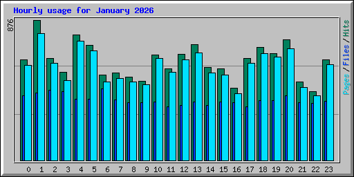 Hourly usage for January 2026