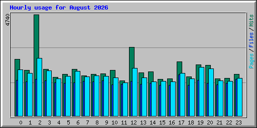Hourly usage for August 2026